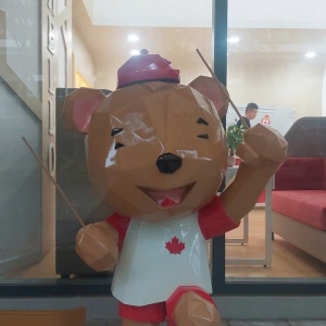 VẬT LIỆU COMPOSITE LACATA-1